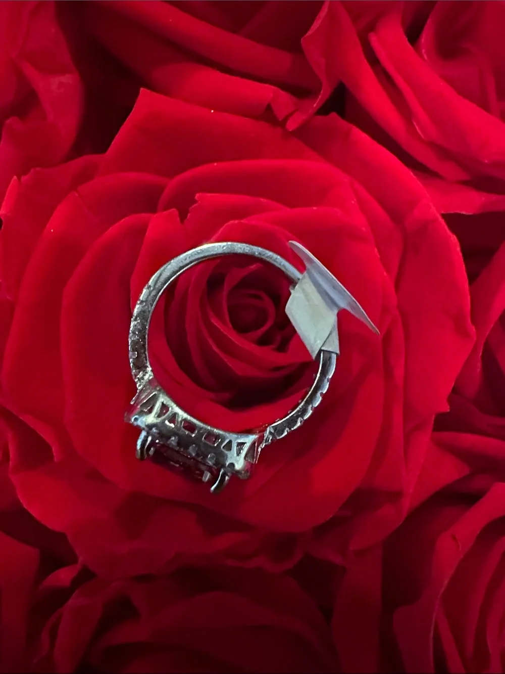 N/A elegant red